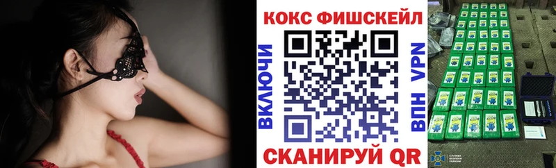 где купить наркотик  Чебоксары  Cocaine Fish Scale 