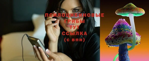 СК Алексеевка