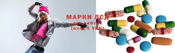 хмурый Алексин