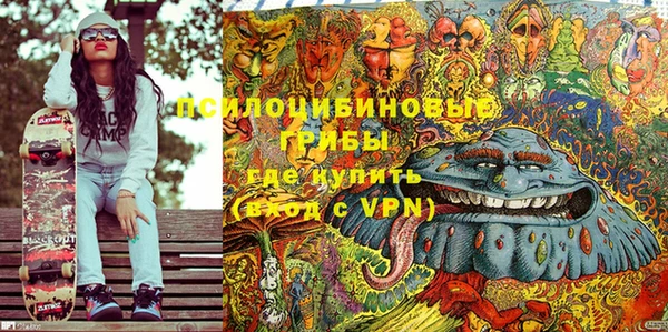 хмурый Алексин
