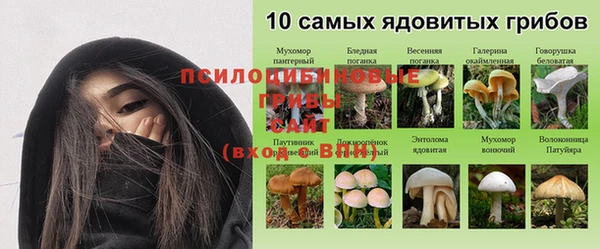 СК Алексеевка