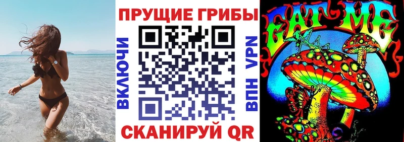 хочу наркоту  Чебоксары  Псилоцибиновые грибы мицелий 
