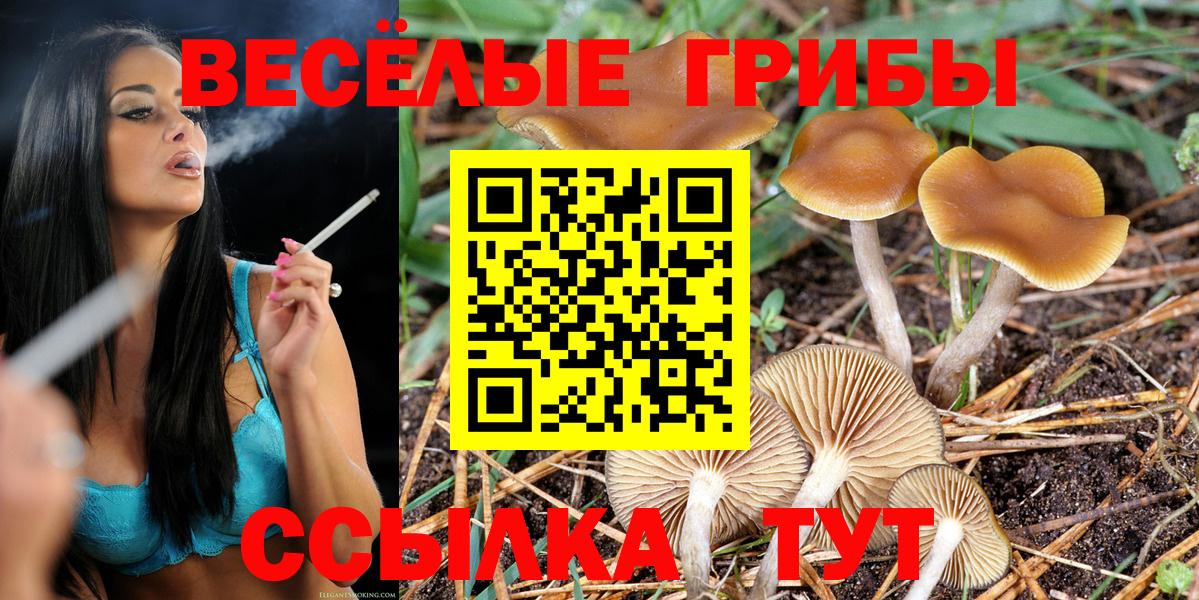 Галлюциногенные грибы ЛСД Чебоксары